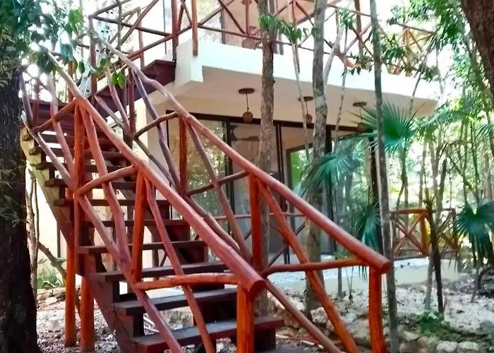 Saasil Kaax Lodge Chemuyil
