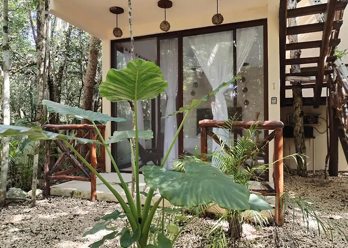 Saasil Kaax Lodge *