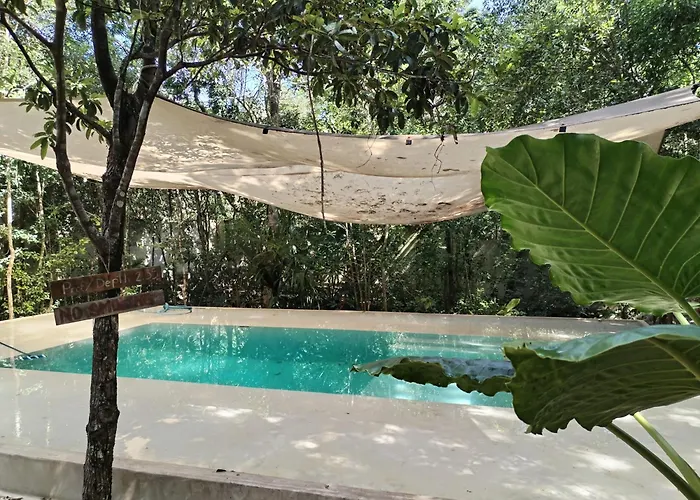 Saasil Kaax Lodge